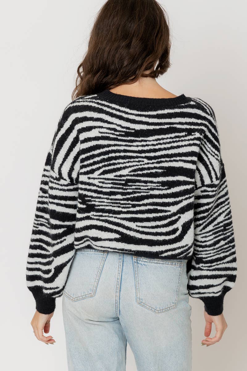 Knit Zebra Stripe Sweater