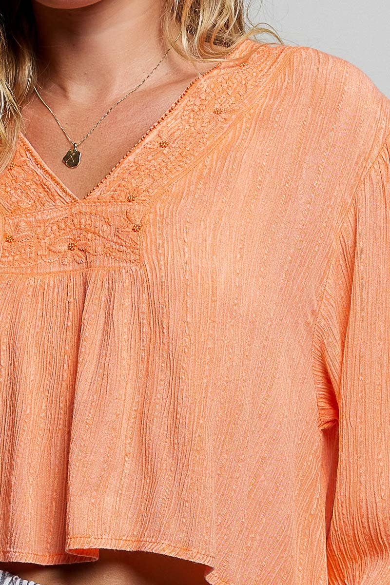 V Neck Long Sleeve Embroidered Textured Woven Blouse Top