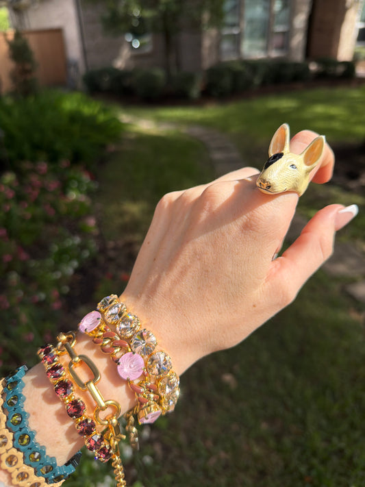 Dog Ring