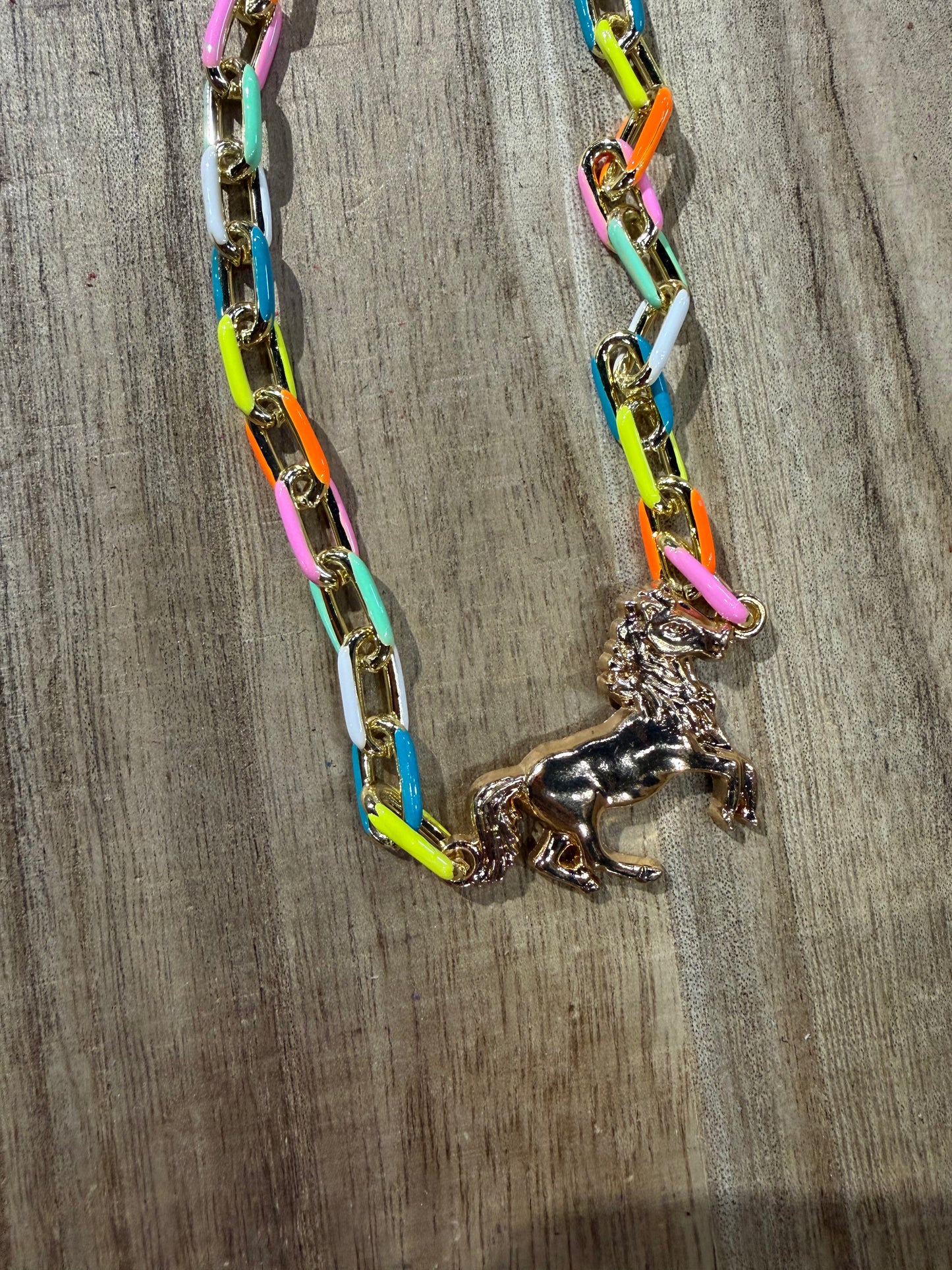 Enamel Multi Pony Necklace