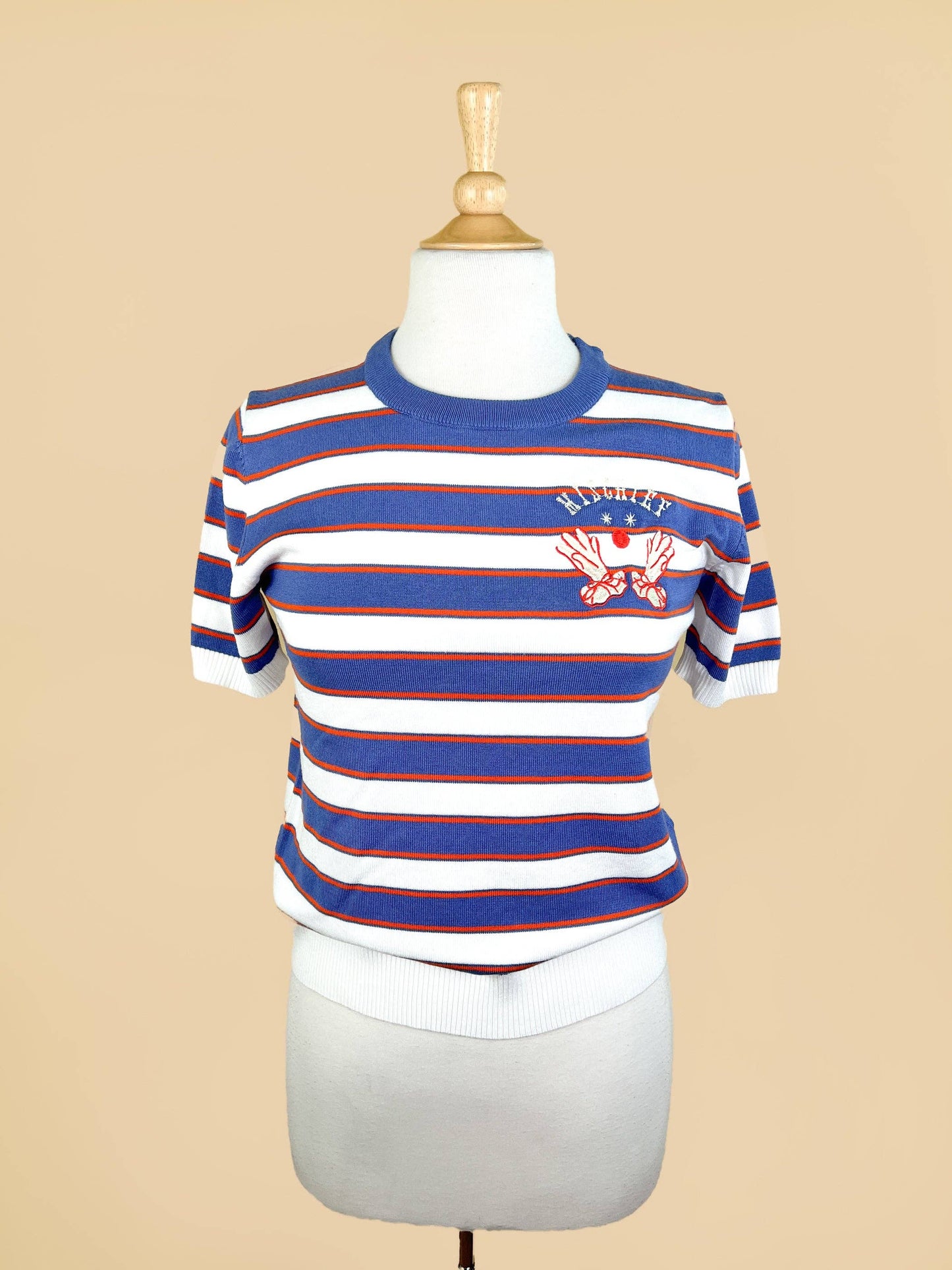 Mischief Maker Short Sleeve Relaxed Striped Sweater in Blue/Orange
