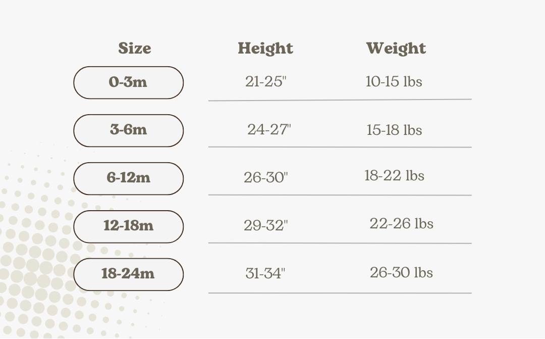 Beach Seashells - Flutter Bubble