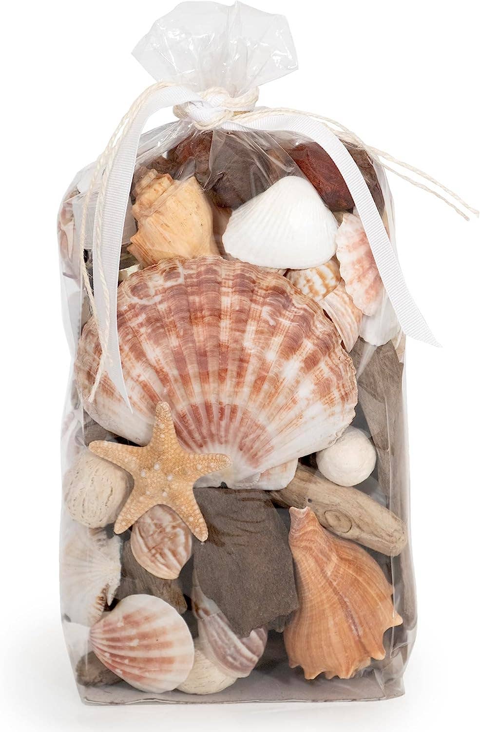 Coral Beach Seashells Decorative Potpourri Bowl Filler