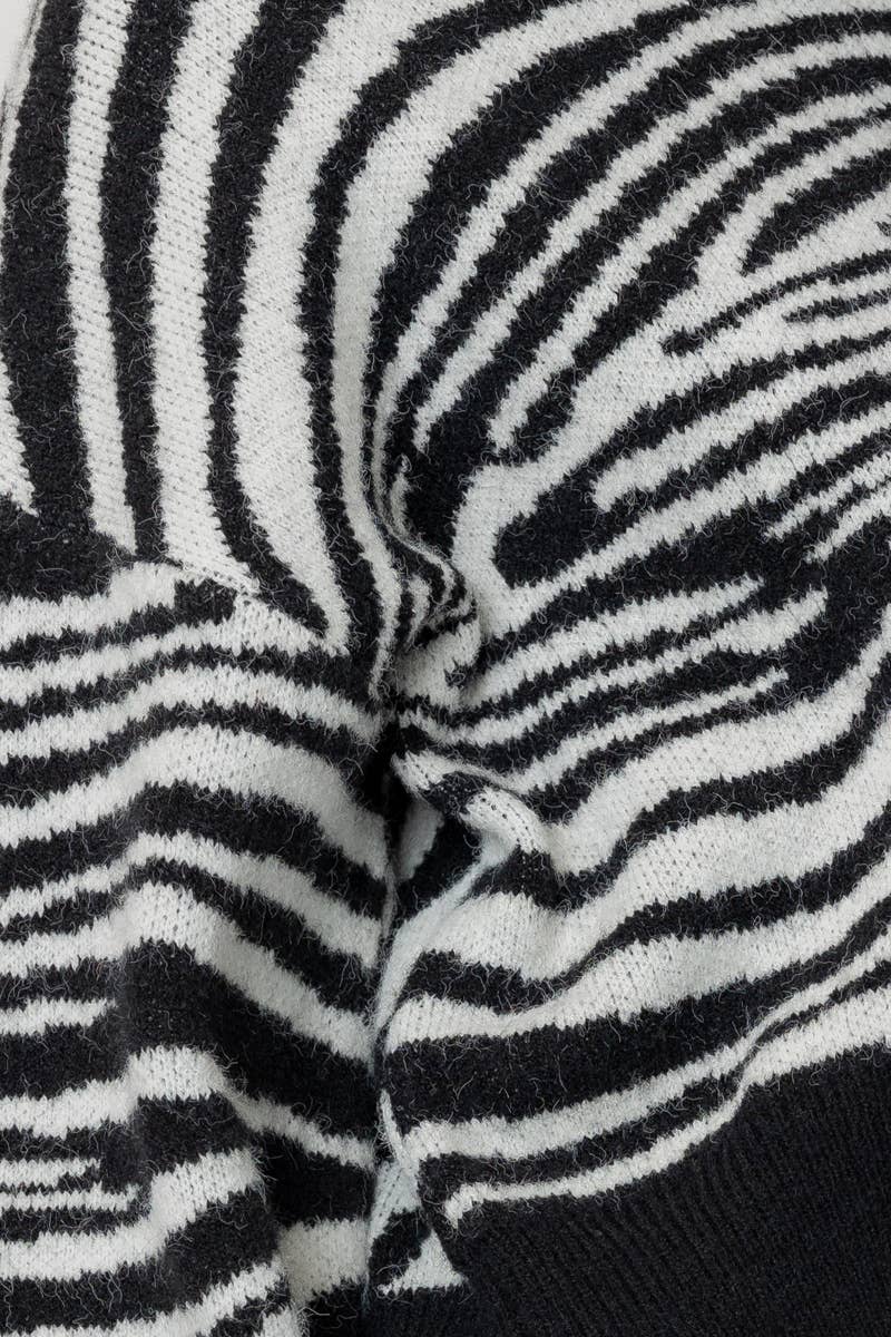 Knit Zebra Stripe Sweater