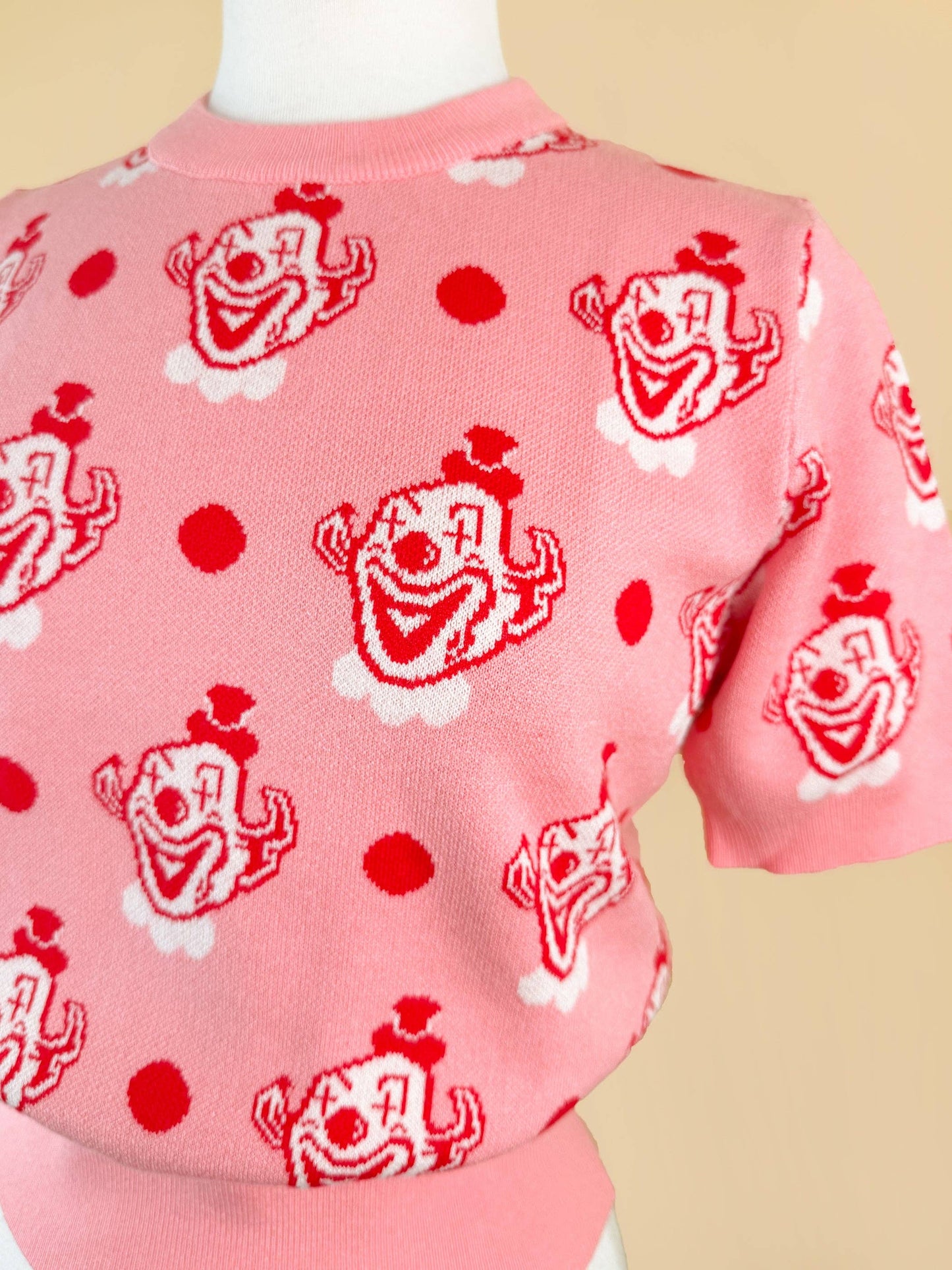 Fool's Parade Short Sleeve Knit Top in Pink