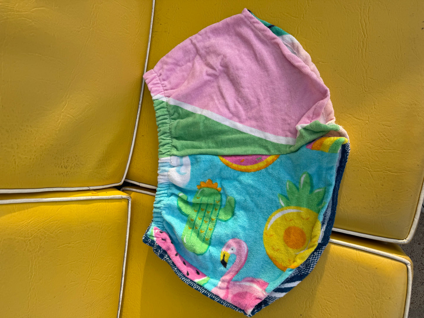 Beach Towel Dolphin Shorts