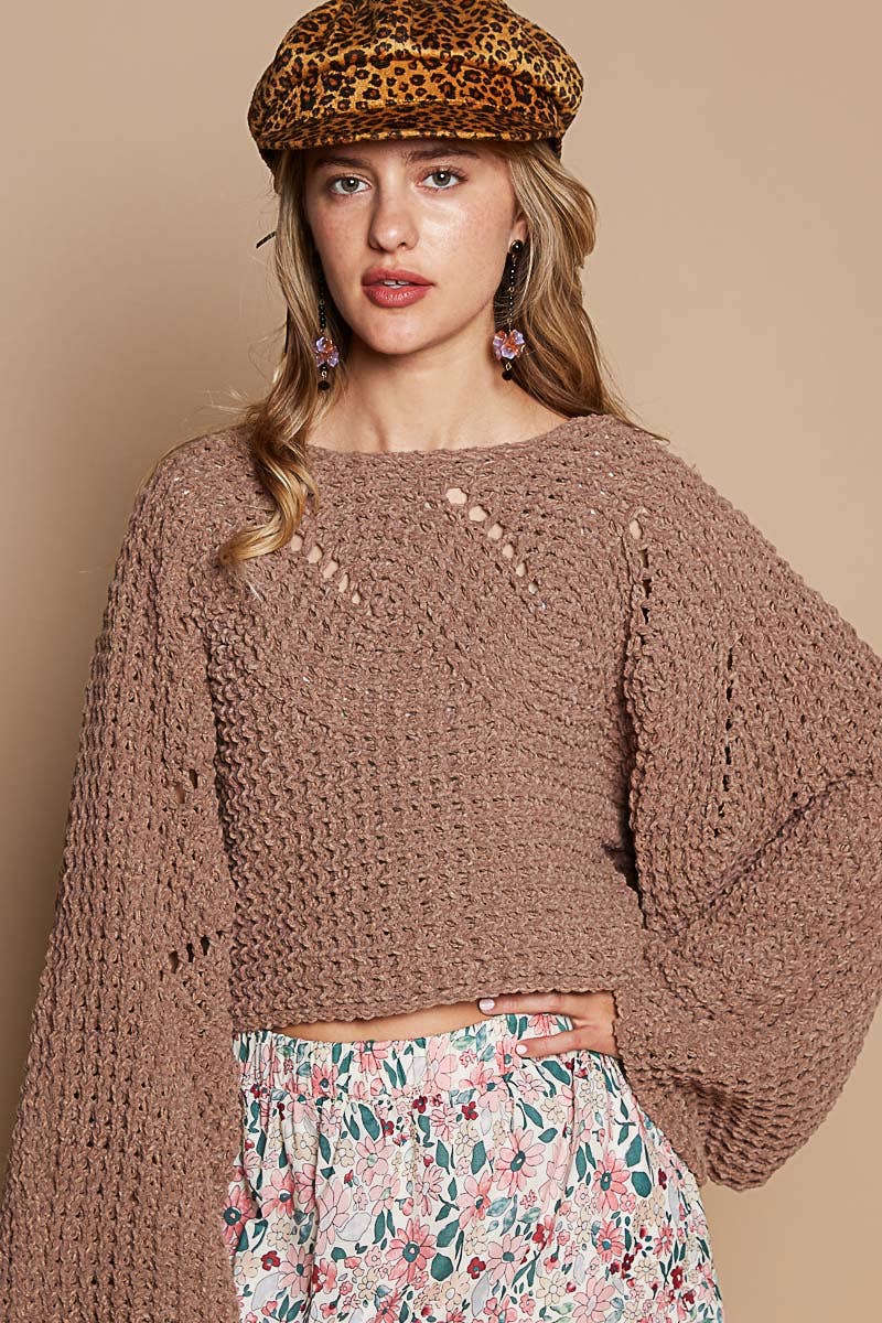 Chocolate Round neck semi cropped chenille solid sweater