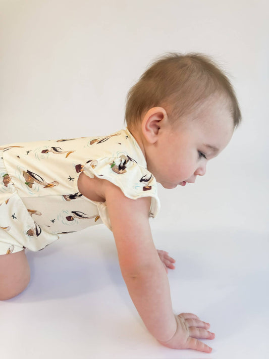 Coastal Pelicans - Flutter Bubble