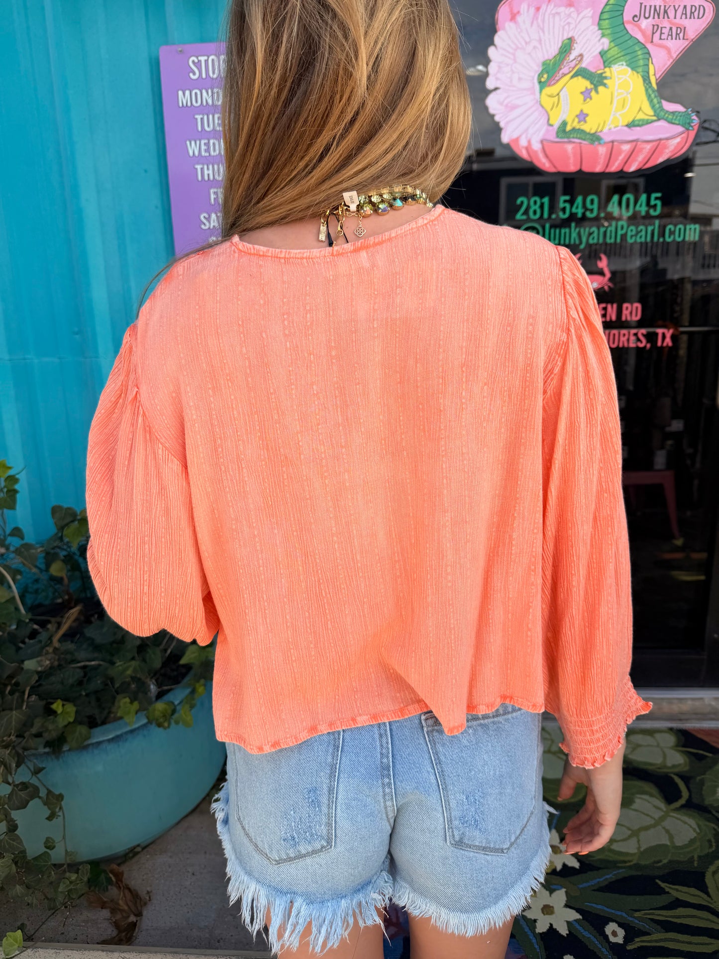 V Neck Long Sleeve Embroidered Textured Woven Blouse Top