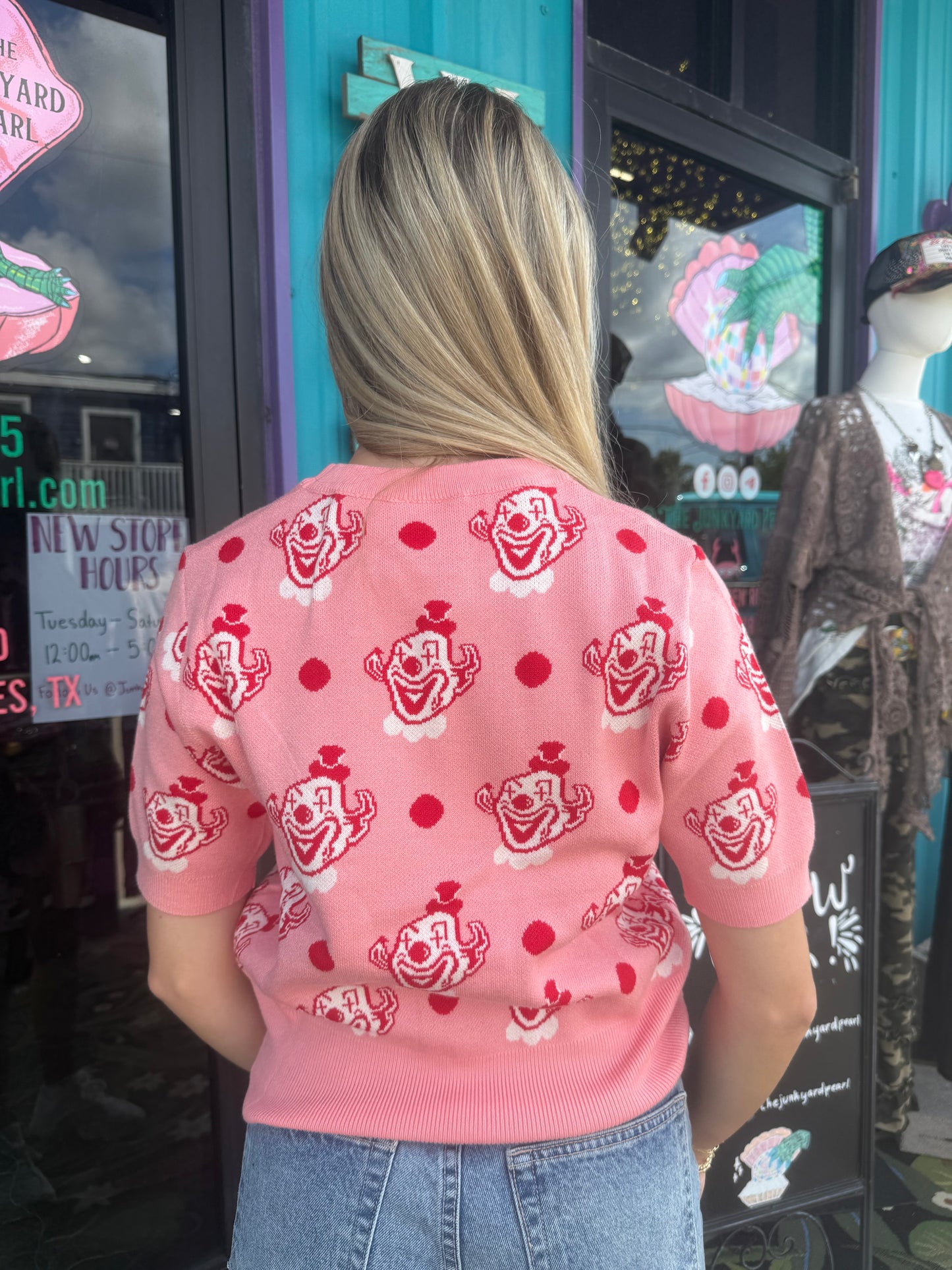 Fool's Parade Short Sleeve Knit Top in Pink