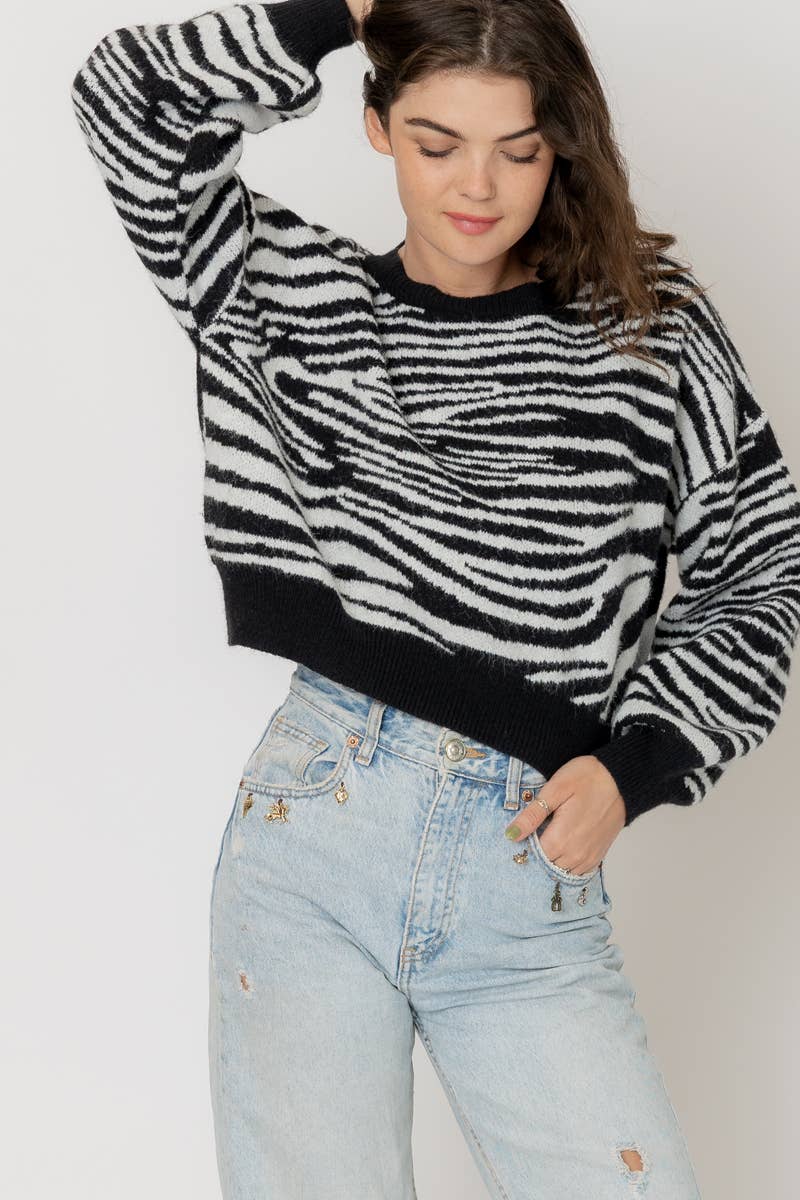 Knit Zebra Stripe Sweater