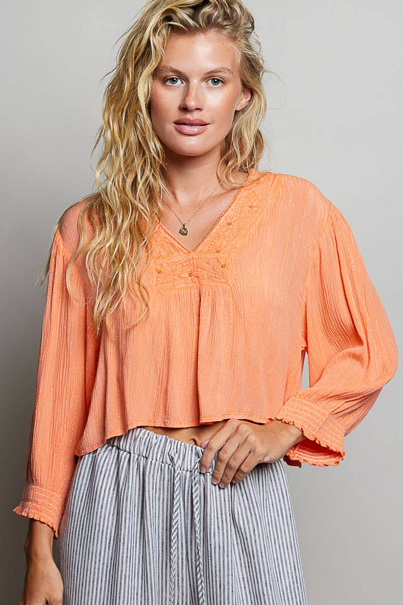 V Neck Long Sleeve Embroidered Textured Woven Blouse Top