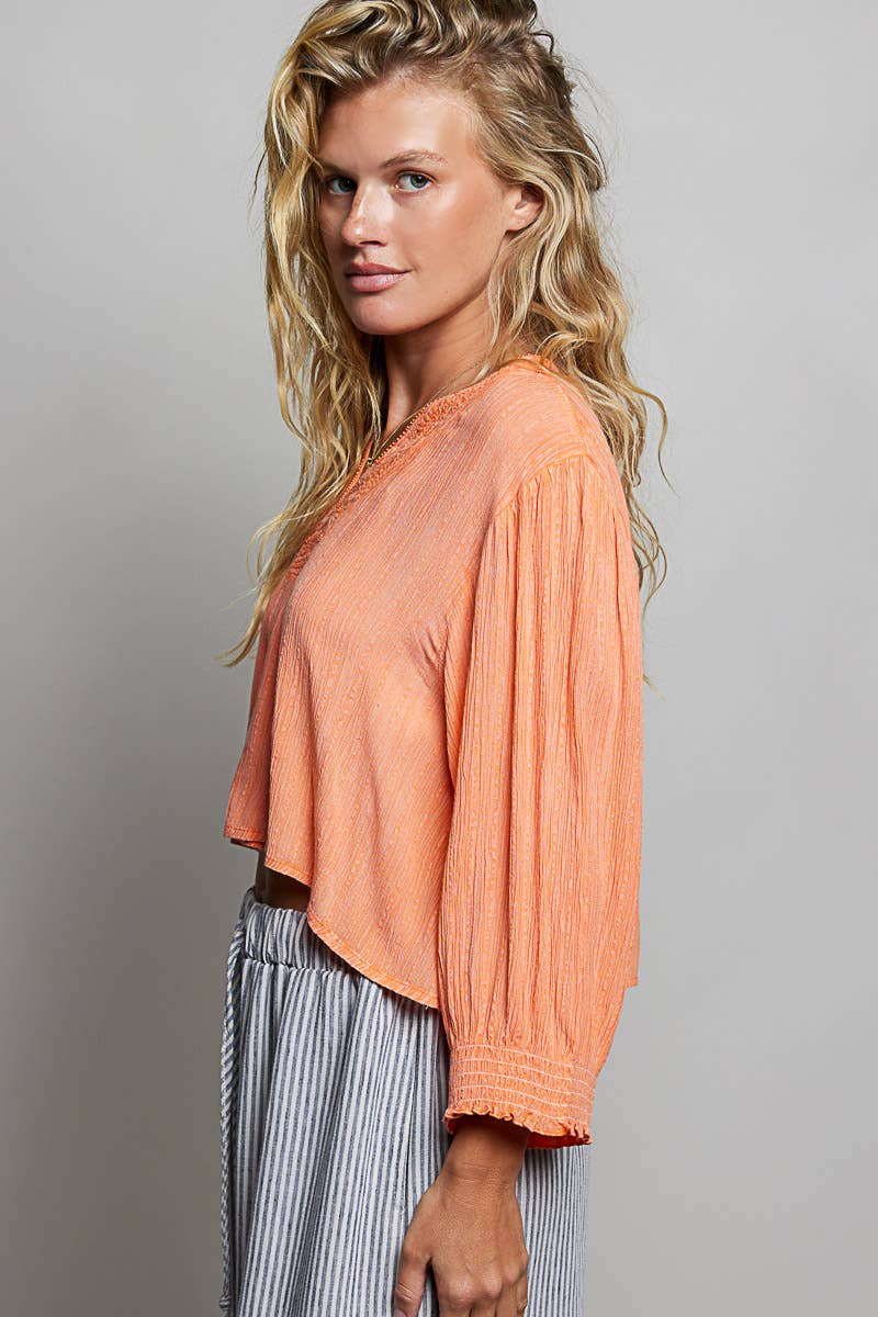 V Neck Long Sleeve Embroidered Textured Woven Blouse Top