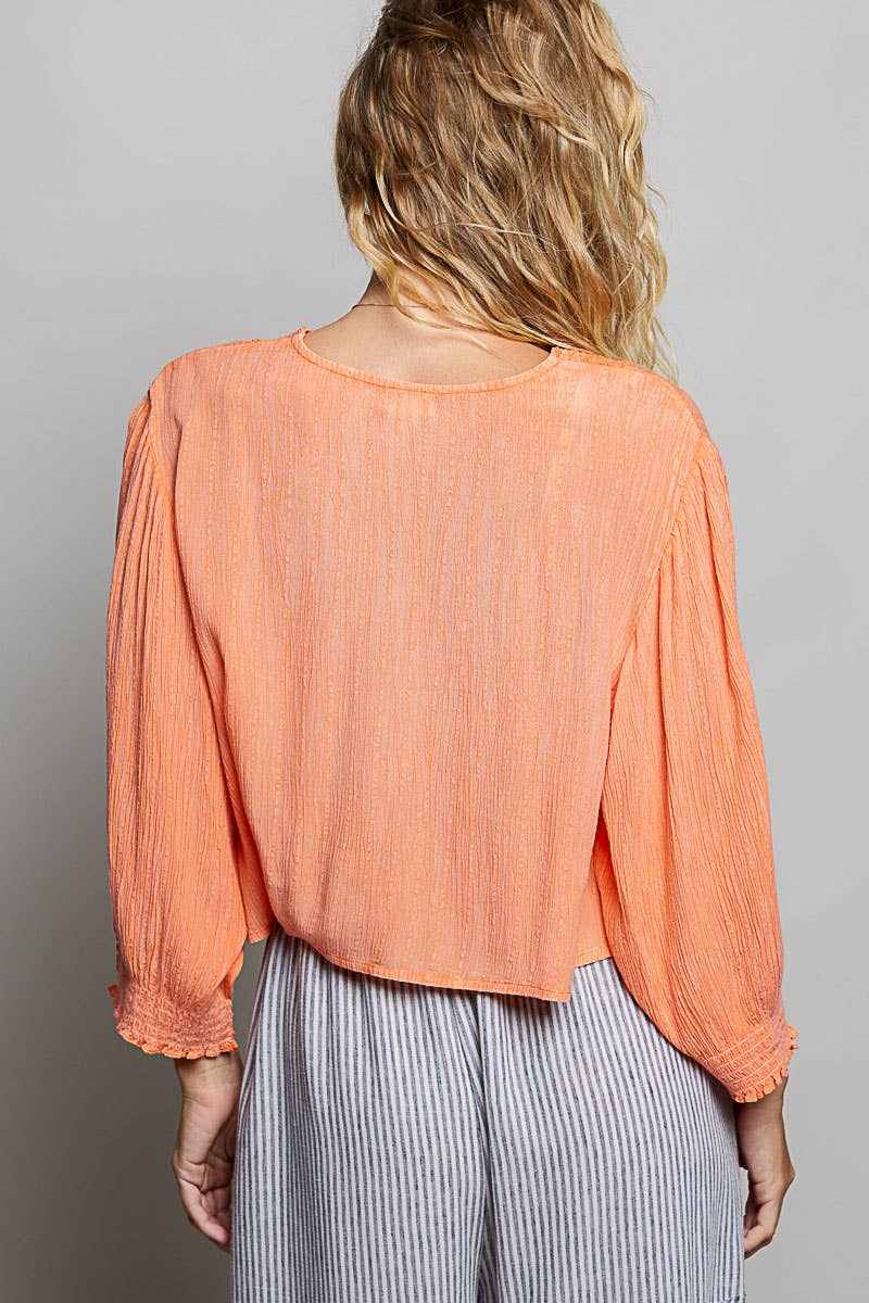V Neck Long Sleeve Embroidered Textured Woven Blouse Top