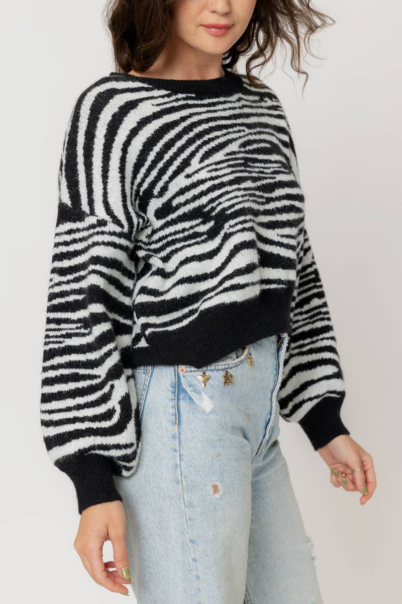 Knit Zebra Stripe Sweater