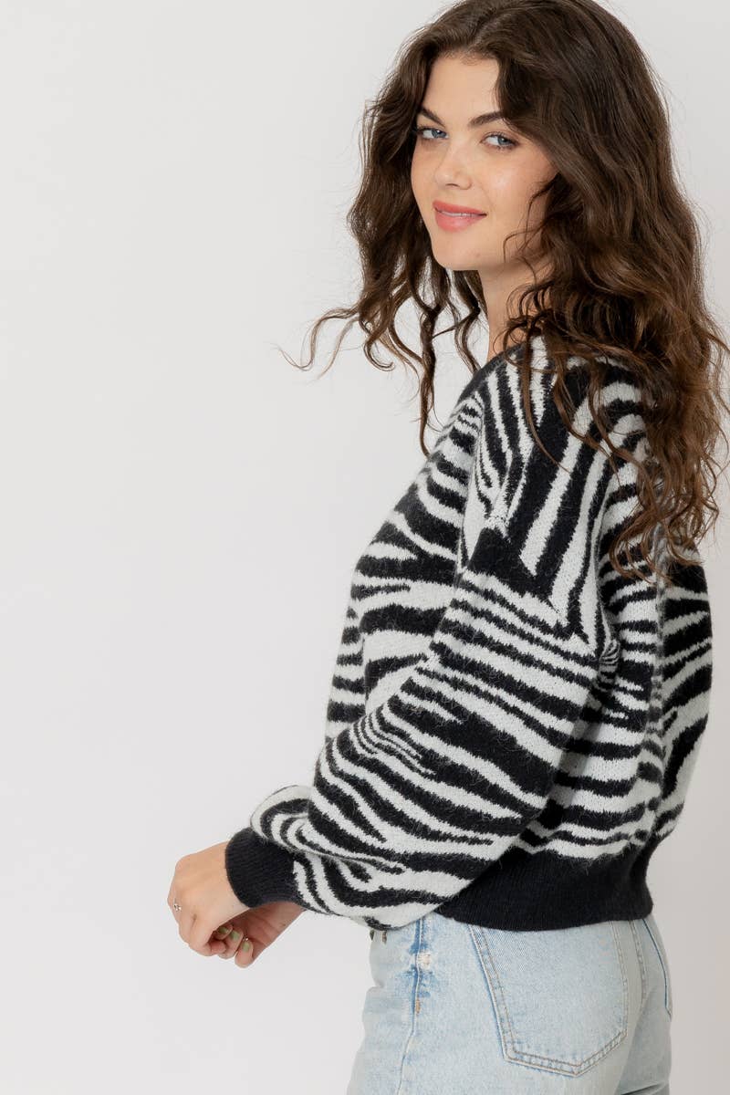 Knit Zebra Stripe Sweater