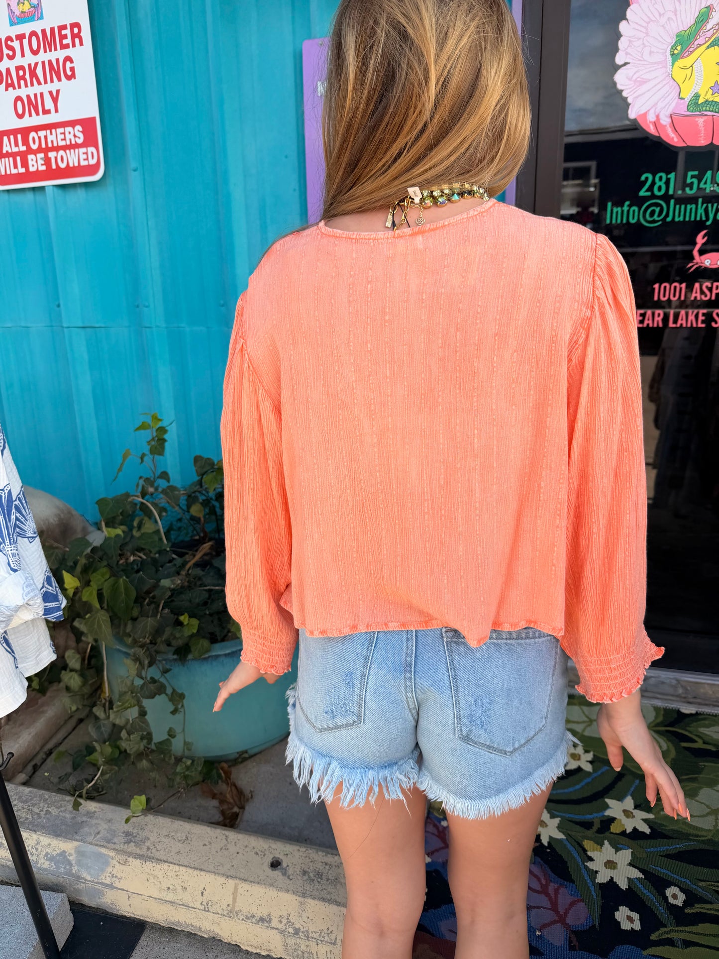 V Neck Long Sleeve Embroidered Textured Woven Blouse Top