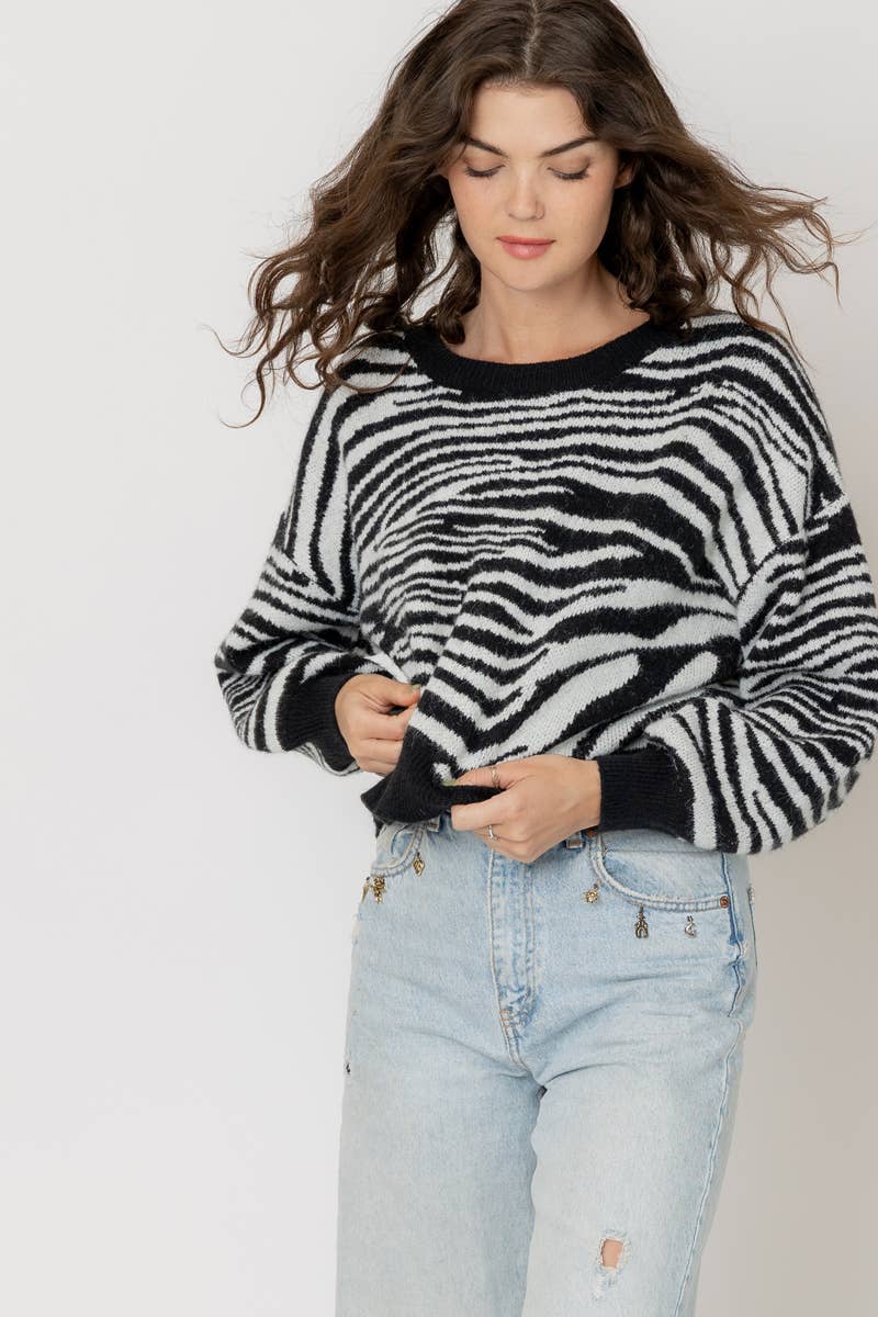 Knit Zebra Stripe Sweater