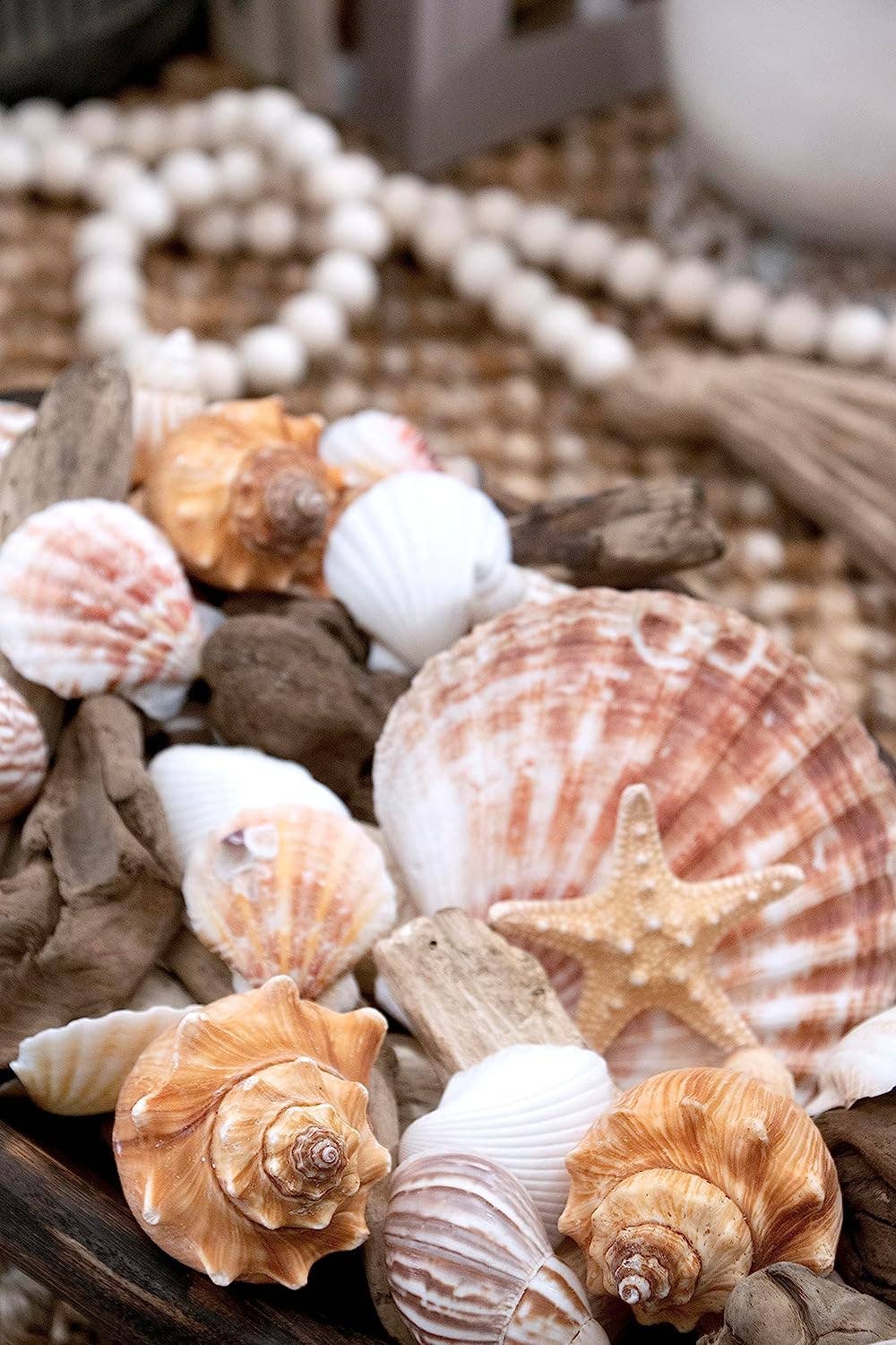 Coral Beach Seashells Decorative Potpourri Bowl Filler