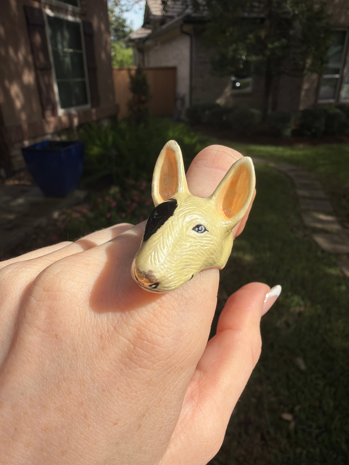 Dog Ring