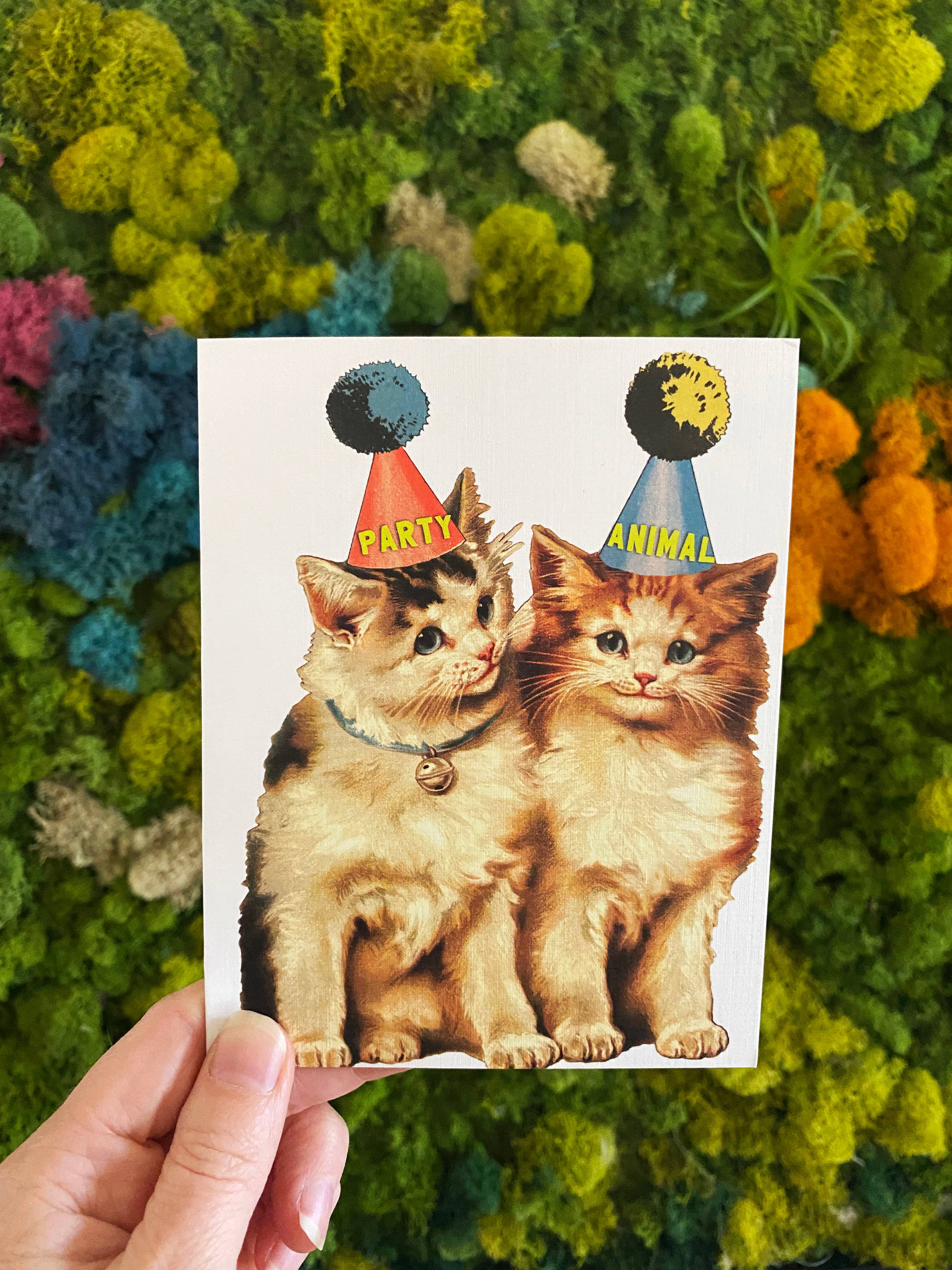 Party Cats Funny Birthday or Celebration Card – The Junkyard Pearl