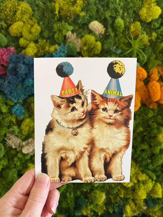 Party Cats Funny Birthday or Celebration Card