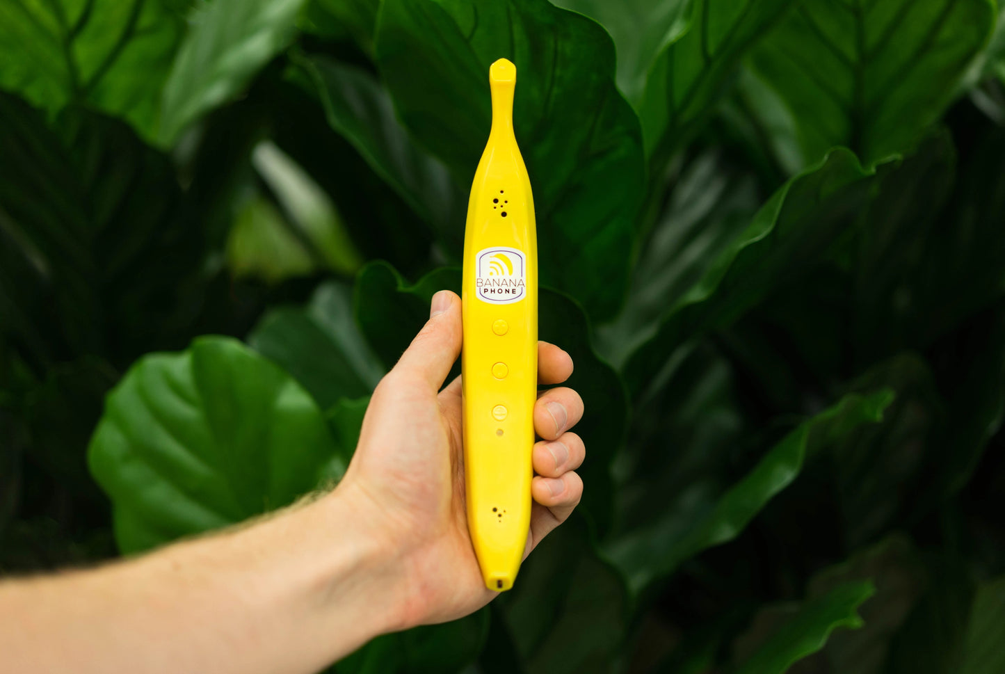 Banana Phone