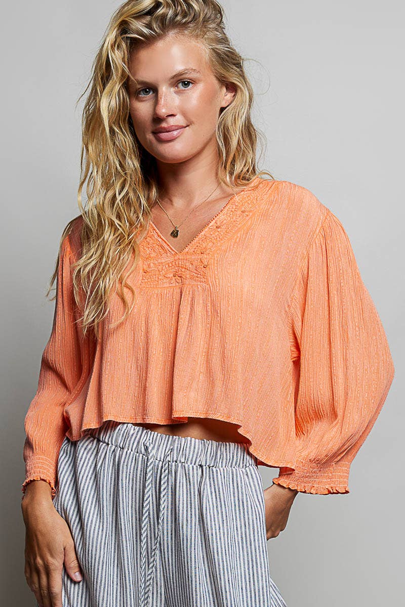 V Neck Long Sleeve Embroidered Textured Woven Blouse Top
