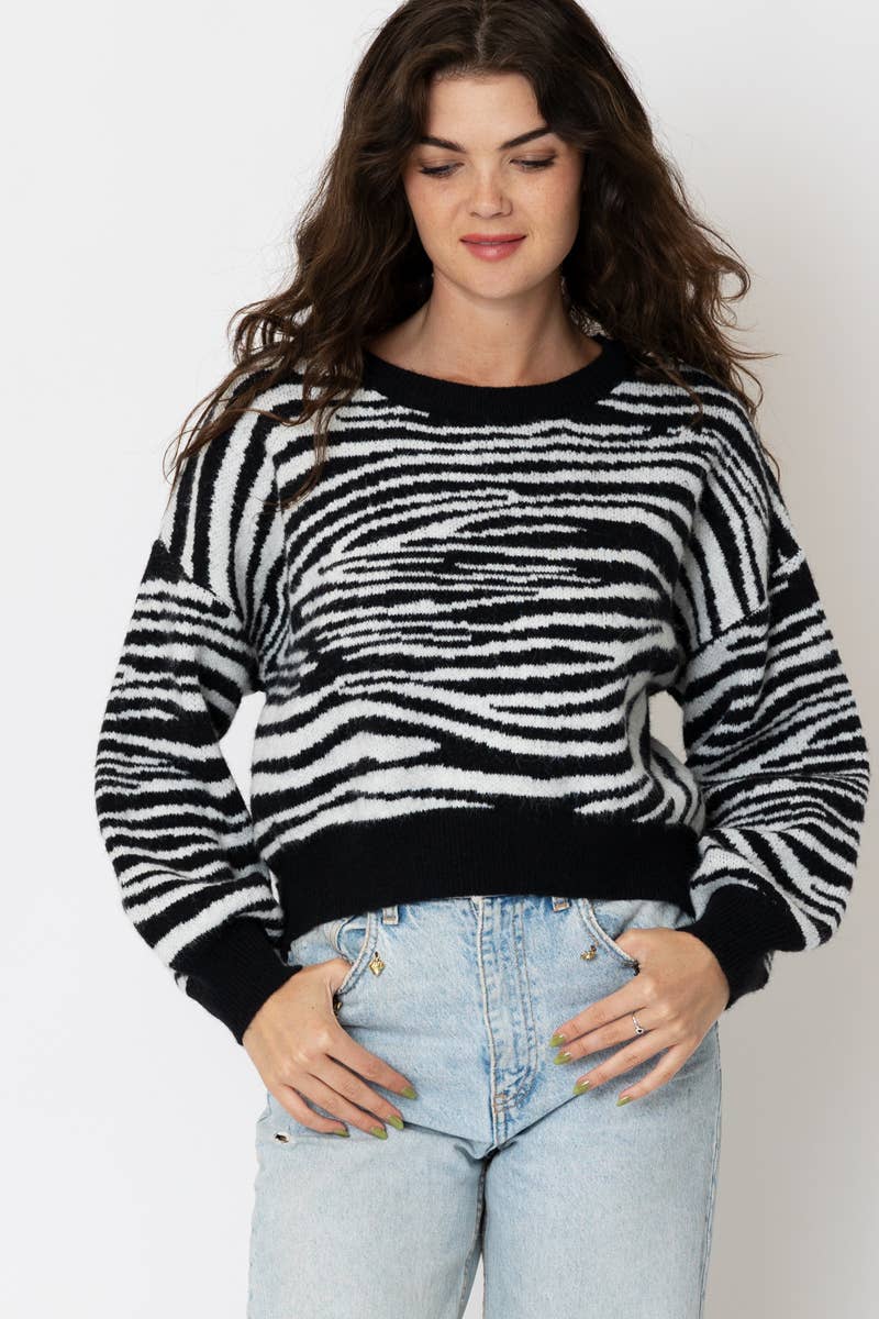 Knit Zebra Stripe Sweater