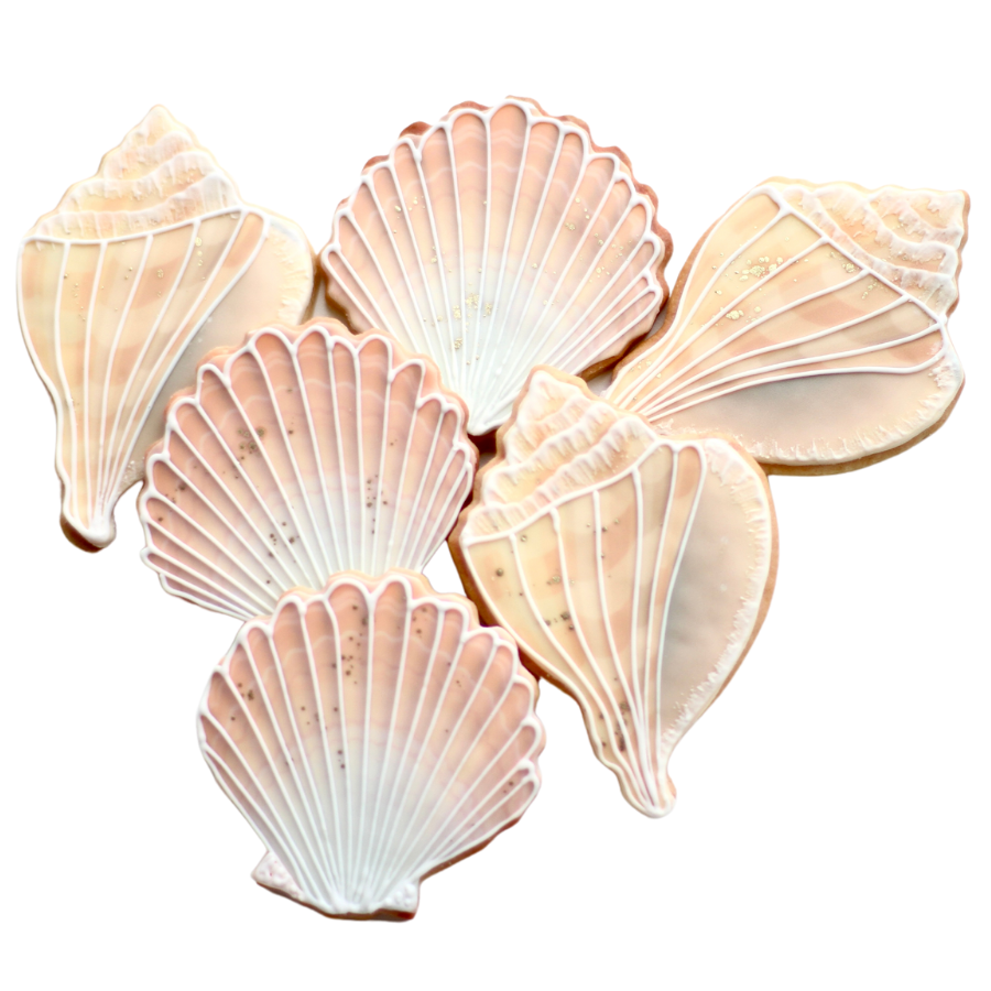 Seashell Cookie Set: Conch Shell